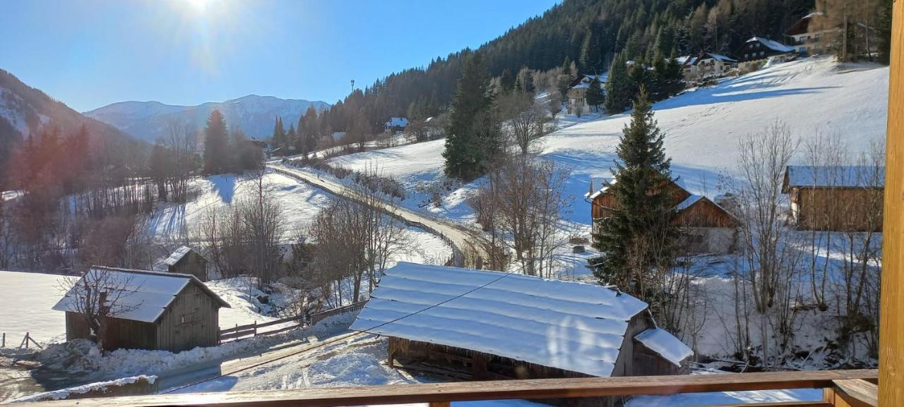 Schoenes Apartment Praegant Bad Kleinkirchheim Exterior foto